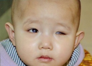 Anjie (1)